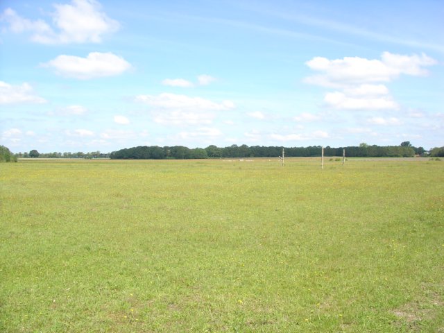 TerApel 023.jpg